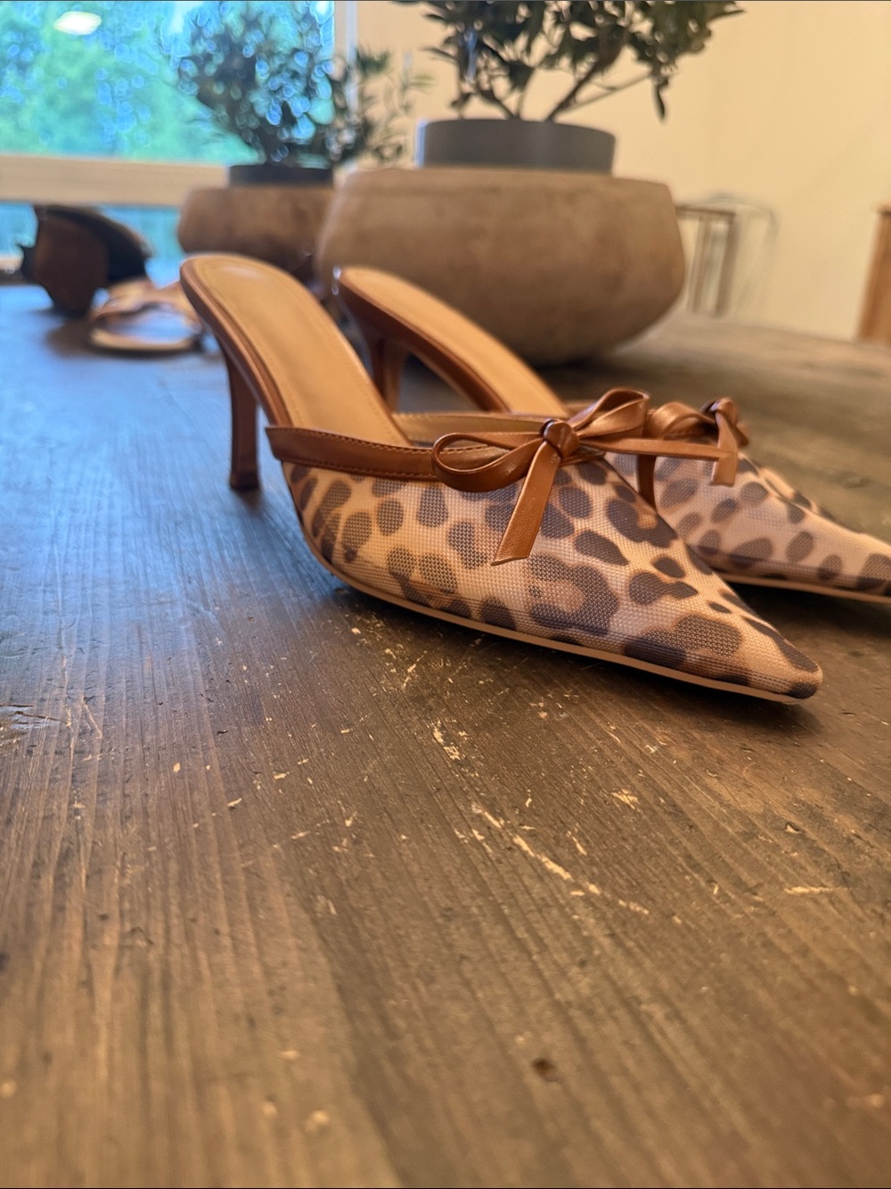 Zara Leopard Print Pointed Mule Heels with Brown Trim